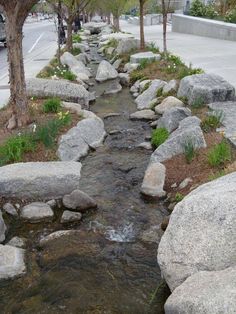 a small stream running through a park next to some trees and rocks in the grass