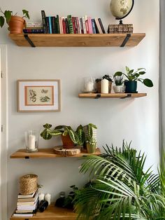 two wooden shelves with plants and books on them