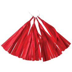 a red tassel hanging from a white string