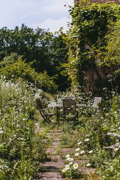 an old chair sitting in the middle of a garden