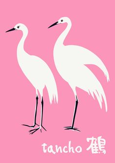 two white birds standing next to each other on a pink background with the words tancho written in chinese