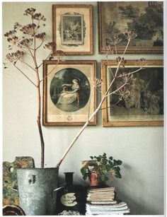 there is a potted plant in front of pictures on the wall