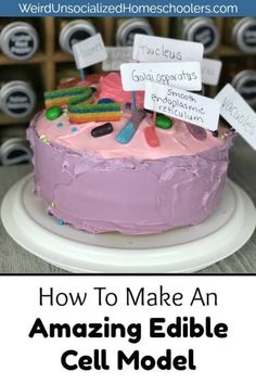 a cake that is sitting on top of a white plate with the words how to make an amazing edible cell model