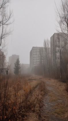 a dirt path in front of tall buildings on a foggy day with trees and grass