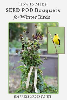 seed pod bouquets for winter birds are easy to make and perfect for the garden