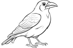 a black and white drawing of a bird