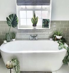 a white bath tub sitting under a window next to a plant filled wall with potted plants