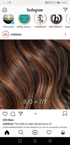 Wella Formulas Caramel, Wella Balayage Formula, Wella Hair Color Chart Brown, Wella Formulas Brown, Wella Caramel Toner Formula, Caramel Hair Color Formula, Wella Color Formulas Brown, Balayage Formulas