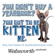 a cat is standing in front of a sign that says, you don't buy a yearbook? you got to be kitten me