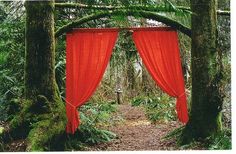 a red canopy in the middle of a forest