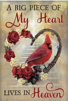 a red bird sitting on top of a heart shaped frame with roses in the middle