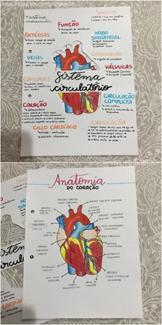 two posters showing the anatomy of the heart