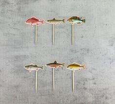 five fish shaped cake toppers on toothpicks in various colors and sizes, sitting on a gray surface