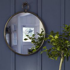 a potted plant in front of a round mirror on a blue wall next to a window