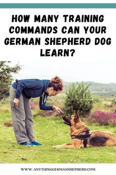 a woman petting a german shepherd dog with the words how many training commands can your german shepherd learn?