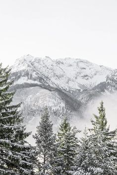 the mountains are covered in snow and trees