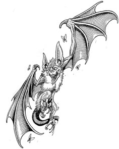 a black and white drawing of a bat