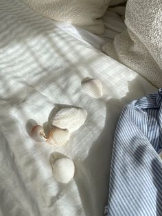 three seashells are laying on a bed with white sheets and blue stripped shirts