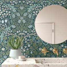 a bathroom sink with a mirror above it and a plant on the counter next to it