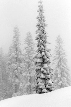 a man riding skis down the side of a snow covered slope next to trees