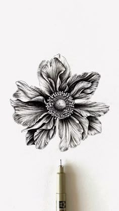 an ink drawing of a flower on a white wall next to a marker and pen