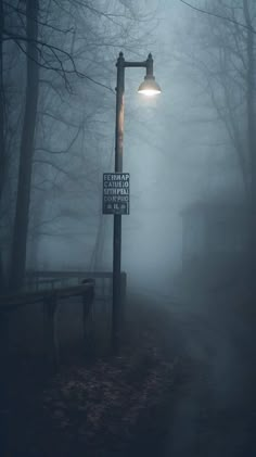 a street light in the middle of a foggy forest with a sign on it