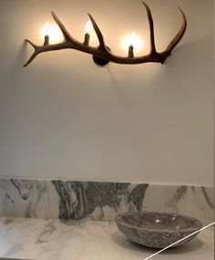 an antler's head mounted on the wall above a bowl