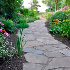 a stone path surrounded by flowers and greenery