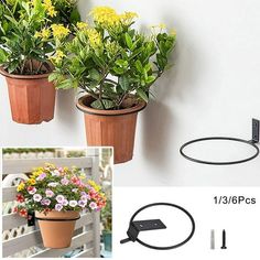 two potted plants hanging on the side of a white wall with an extension cord