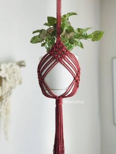 a potted plant hanging from a red rope with green leaves on it and a white vase in the background