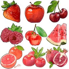 an image of fruits and vegetables painted in watercolor