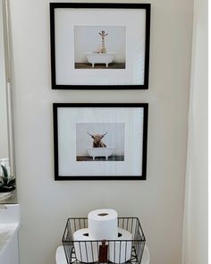 two pictures hanging on the wall above a toilet in a bathroom with a basket underneath it