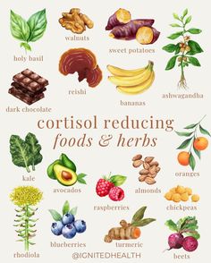 Ashwagandha: A powerful adaptogen, ashwagandha helps the body balance cortisol and reduce the effects of stress.

Holy Basil: Known as "tulsi," this herb has cortisol-lowering properties and supports a balanced stress response.

Rhodiola: This adaptogenic herb helps the body resist physical, emotional, and environmental stress by reducing cortisol levels. Menstrual Witchcraft, Medicinal Herbs Remedies, Hormone Nutrition, Healthy High Protein Breakfast, Lower Cortisol, Cooking Conversions, Ayurvedic Healing, Dark Leafy Greens, Plant Medicine