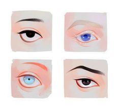 four different types of blue eyes