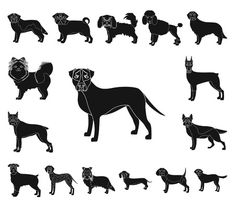 black and white silhouettes of dogs in various poses, with their heads turned to the side