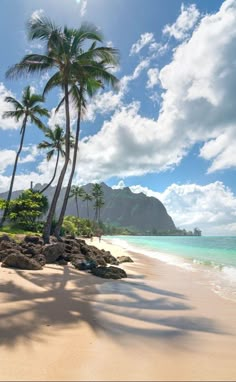 a beach with palm trees and blue water