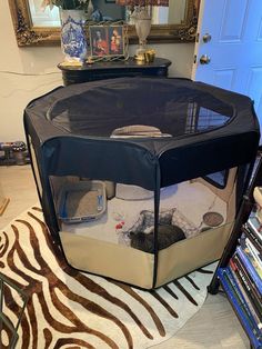 a cat bed in the middle of a living room