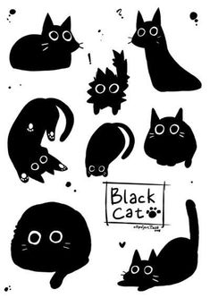 black cats with different shapes and sizes