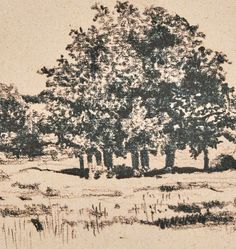 a drawing of trees in the middle of a field