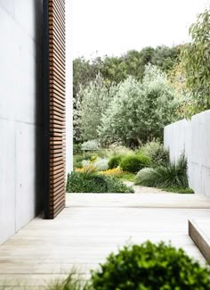 an open door leading to a lush green garden