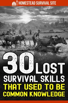 the book cover for 30 lost survival skills that used to be common knowledge