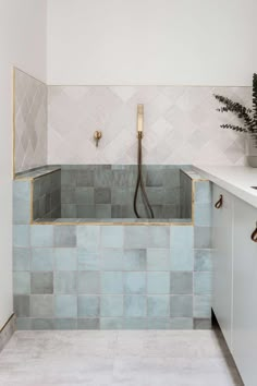 a bath room with a tub and a plant on the counter top next to it