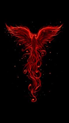 a red bird flying through the air with flames in it's wings, on a black background