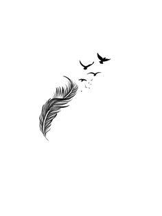 a black and white photo of a bird flying in the sky with a feather on it's tail