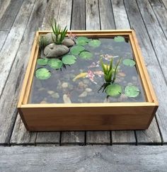 a wooden box filled with water plants and rocks on top of a wooden deck next to a pond