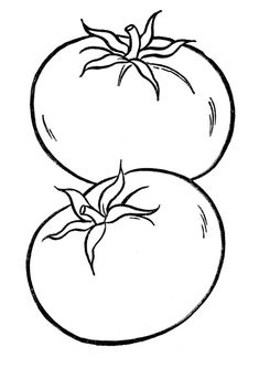 two tomatoes are shown in black and white