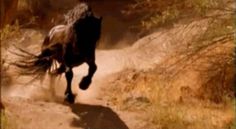 a horse running down a dirt road in the wild with dust coming off its back