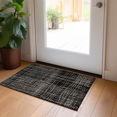 a door mat on the floor next to a potted plant in front of a glass door