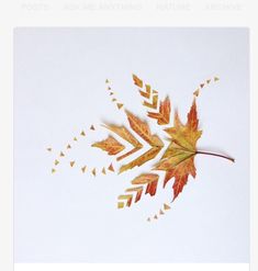 an image of some leaves that have been cut into small pieces with the words post ask me anything nature archive