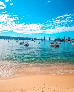 view of the boats in sydney harbour from rose bay beach